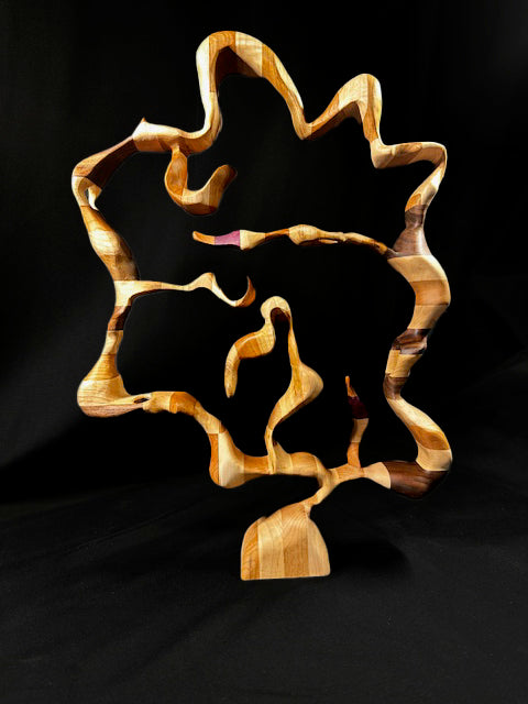 Fractured Flow